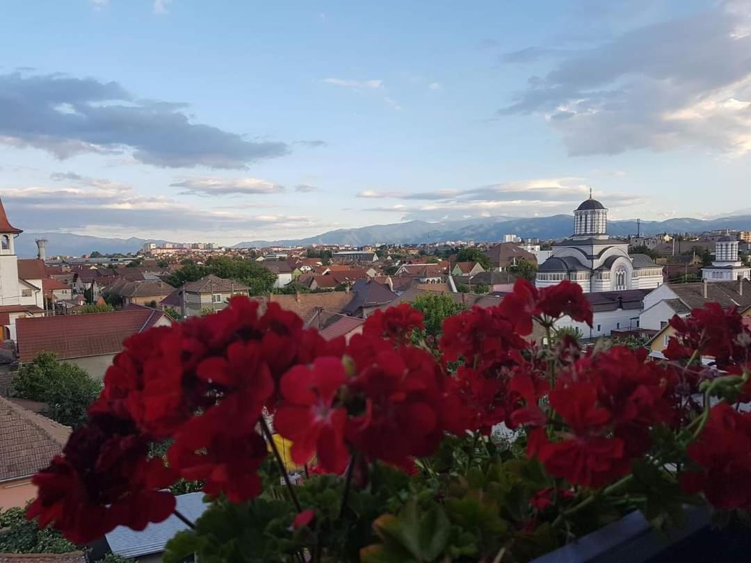 Sibiu Bach Penthouse Lägenhet Exteriör bild